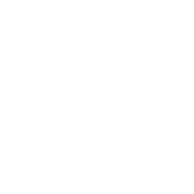 Dexber Core Values